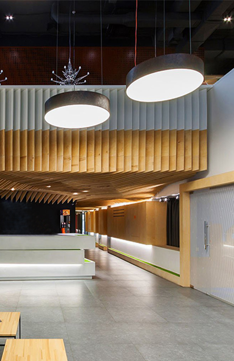 Downlight Series