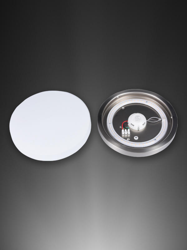 PC0124 24W φ290 Ceiling Light With Iiron Edge