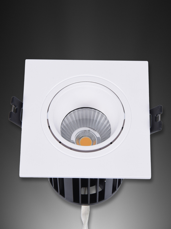 PRD040808-PLSM12W φ50*70 150-277V Downlight